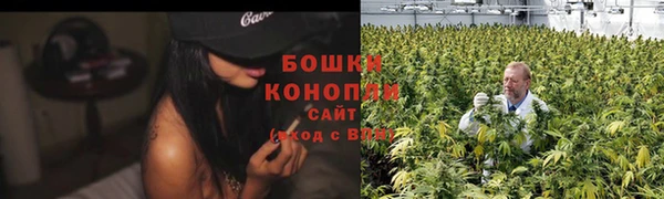 гидропоника Богданович