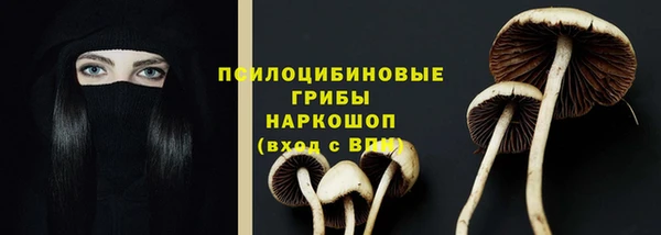 амфетамин Белокуриха